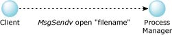 MsgSendv, client to process manager