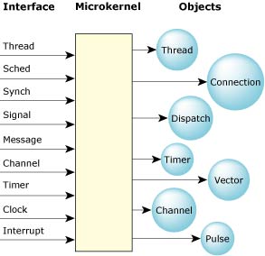 Neutrino kernel components