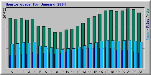 Hourly usage for January 2004